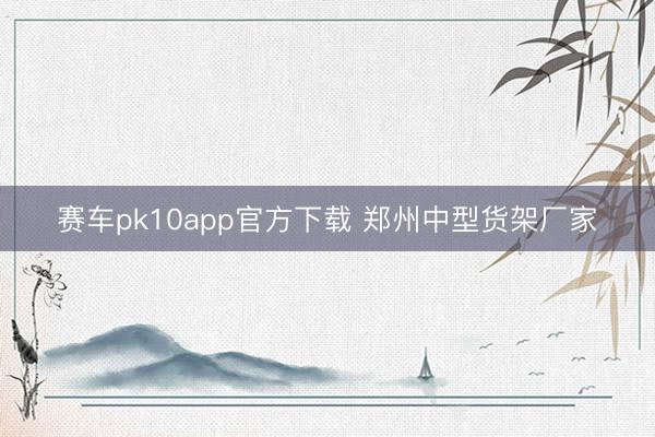 赛车pk10app官方下载 郑州中型货架厂家
