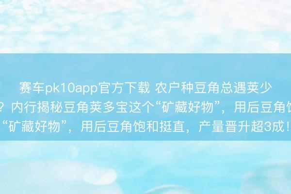 赛车pk10app官方下载 农户种豆角总遇荚少、豆粒不饱和勤勉奈何办？内行揭秘豆角荚多宝这个“矿藏好物”，用后豆角饱和挺直，产量晋升超3成！