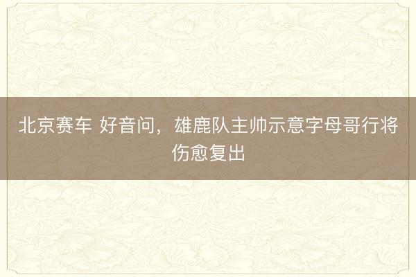 北京赛车 好音问，雄鹿队主帅示意字母哥行将伤愈复出